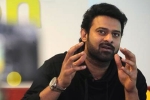 Prabhas new movie, Prabhas, two young beauties in talks for prabhas next, Pelli sandad