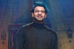 Prabhas recent pictures, Prabhas breaking news, prabhas struggling to cut down his weight, Prabhas weight Prabhas recent pictures, Prabhas breaking news, prabhas struggling to cut down his weight, Prabhas weight