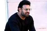 Adipurush, Prabhas25 updates, prabhas to offer a new treat for his fans, Prabhas25 Adipurush, Prabhas25 updates, prabhas to offer a new treat for his fans, Prabhas25