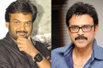 Venkatesh new movie, Venkatesh next film, puri jagannadh to direct venkatesh, Babu bangaram