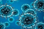 R.1 Coronavirus news, R.1 Coronavirus treatment, r 1 variant of coronavirus traced in 35 countries, Coronavirus symptoms