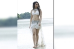 Dhruva, Rakul Preet Singh news, rakul s bikini treat a must watch, Rakul preet singh updates