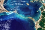 Ram Setu, Ram Setu pictures breaking, ram setu s pictures from the space, Ram setu pictures