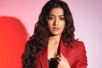 Rashmika Mandanna, Rashmika Mandanna, rashmika mandanna clears air, Animal film Rashmika Mandanna, Rashmika Mandanna, rashmika mandanna clears air, Animal film