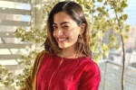 Rashmika Mandanna news, Rashmika Mandanna new movies, rashmika mandanna bags one more biggie, Indian actresses