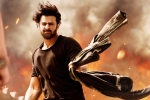 Prabhas, Saaho news, saaho ten days telugu states collections, Neil nitin mukesh