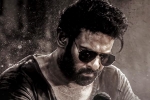 Salaar 2 shoot, Salaar 2 shooting news, new update from salaar 2, Shruti
