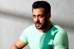 Salman Khan, Salman Khan or Acharya, salman khan coming for chiranjeevi and charan, Lucifer remake