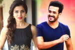 Samantha news, Samantha next film, samantha and akhil to clash in august, Bollywood films