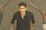 Sarileru Neekevvaru, Anil Ravipudi, mahesh babu s sarileru neekevvaru trailer review, Ugc