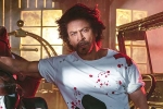 Shah Rukh Khan new films, Shah Rukh Khan breaking, shah rukh khan to play a don in king, Srk