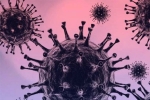Omicron latest updates, WHO, south african scientists about omicron variant, Omicron cases