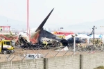 South Korea Plane Crash new updates, South Korea Plane Crash cause, pilot made mayday call and mentioned bird strike in south korea plane crash, Runway