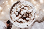hot drink, hot drink, spend christmas this year with the best hot cocoa, Hot cocoa