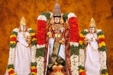 Sri Srinivasa Kalyanam, Ekta Mandir- Arizona