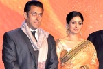 Salman Khan, Salman Khan, sridevi to work with salman khan, English vinglish Salman Khan, Salman Khan, sridevi to work with salman khan, English vinglish
