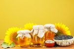 Sunflower Oil health benefits, Sunflower Oil doctors, long term effects of consuming sunflower oil on heart health, Toxic