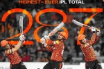 Sunrisers Hyderabad score, SRH, sunrisers hyderabad scripts history in ipl, Glenn maxwell