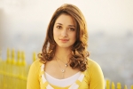 Tamannaah updates, Tamannaah updates, tamannaah locked for a bollywood remake, Milky beauty