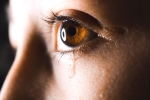 does crying make you gain weight, tears, tears can help you lose weight especially if it s between 7 p m to 10 p m claims study, Crocodile
