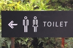 public washrooms, things you should never do in toilet, 6 things you should never do in a public toilet, Toilet paper
