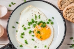 healthy, health benefits, top 5 benefits of eggs that ll make you to eat them every day, Nutrition