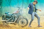 Raja Ravi updates, Rashi Khanna., ravi teja s touch chesi chudu, Bengal tiger