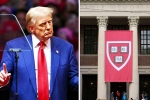Donald Trump breaking, Donald Trump latest updates, trump demands 1 billion as damages from harvard university, Donald trump Donald Trump breaking, Donald Trump latest updates, trump demands 1 billion as damages from harvard university, Donald trump