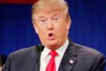 Donald Trump, Gurgaon, donald trump s investments in india to impact us foreign policy, Indian political leaders