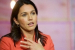 abraham williams tulsi gabbard, tulsi gabbard height, tulsi gabbard apologizes for her past statement on lgbtq, Hurtful abraham williams tulsi gabbard, tulsi gabbard height, tulsi gabbard apologizes for her past statement on lgbtq, Hurtful