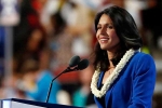 president, democrat, tulsi gabbard likely to run for u s presidency in 2020 sources, Tim kaine
