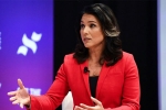 US presidential candidate, tulsi gabbard sues google, u s presidential candidate tulsi gabbard sues google for hindering her campaign, Tech companies