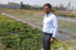 organic farming nic in, Aditya Gaddh, this u s return mba graduate is transforming a village barren land into an organic farming facility, Yamuna