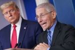 Anthony Fauci, covid-19, us could start reopening in may anthony fauci, Gasoline Anthony Fauci, covid-19, us could start reopening in may anthony fauci, Gasoline