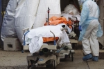 USA Coronavirus news, USA Coronavirus breaking updates, usa coronavirus deaths reaches 9 lakhs, Usa coronavirus
