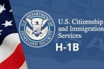 USICS latest report, USICS on H1B visas, uscis report claims more than 74 percent of indians accounted on h1b visas, Up government report