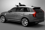 selfdriving cars stopped after crash, Uber shut down, uber shuts arizona self driving program after fatal crash, Arizona governor doug ducey
