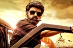Veera Simha Reddy Sankranthi box-office, Veera Simha Reddy Sankranthi box-office, veera simha reddy sankranthi weekend collections, Veera simha reddy