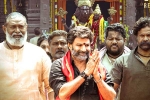 Shruti Haasan, Veera Simha Reddy collections, veera simha reddy eight days worldwide collections, Veera simha reddy