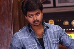 Vijay, Jawan, vijay in a cameo, Gauri khan