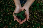 earth, sustainable, what can you do to save earth, Earth day