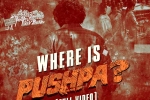 Pushpa: The Rule, Pushpa: The Rule visual, where is pushpa second installment is lavish, Sandalwood