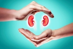 World Kidney Day 2025 experts, World Kidney Day 2025 experts, world kidney day 2025 theme and health tips, Obesity