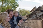 Phoenix zoo gets creative keeping, creative acquaintance, zoo in phoenix gets creative keeping its critters cool, Heat exhaustion