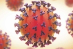 Coronavirus, Coronavirus health updates, coronavirus is not related to respiratory system says study, Concentration