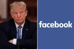 Donald Trump 2 years banned, Facebook, facebook bans donald trump for 2 years, Gravity