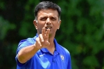 Rahul Dravid paycheque, India A, rahul dravid to lead team india as head coach, Bcci president