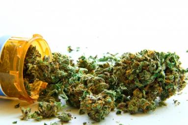 Rush&#039; for medical-marijuana licenses