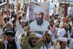 USA, decade for Bin Laden death, bin laden continues to mobilize jihadists ten years after his death, Osama bin laden