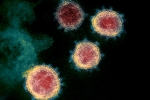 Mu variant updates, Mu variant, one more new variant of coronavirus traced in columbia, Mutation